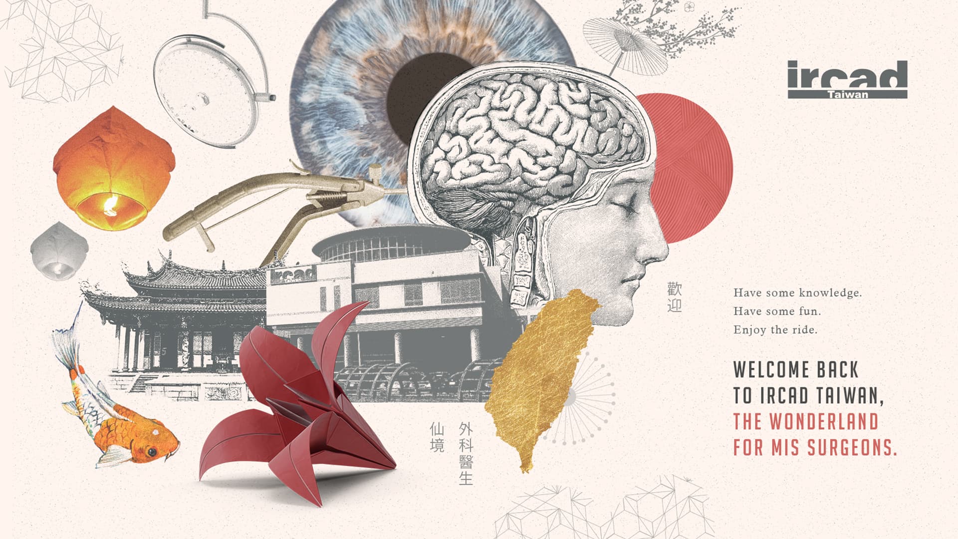 imagem do portifolio